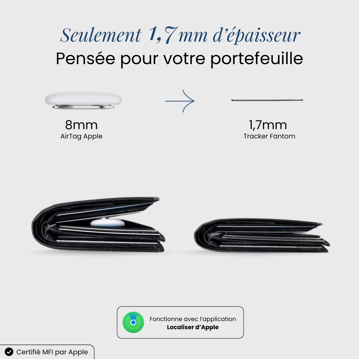 FANTOM V2 - Carte de Géolocalisation